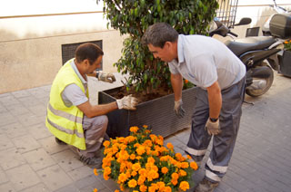 El Ayuntamiento coloca adornos florales con motivo de las fiestas de Santiago