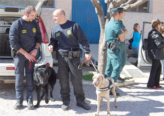 Totana -Totana el primer de perros policías