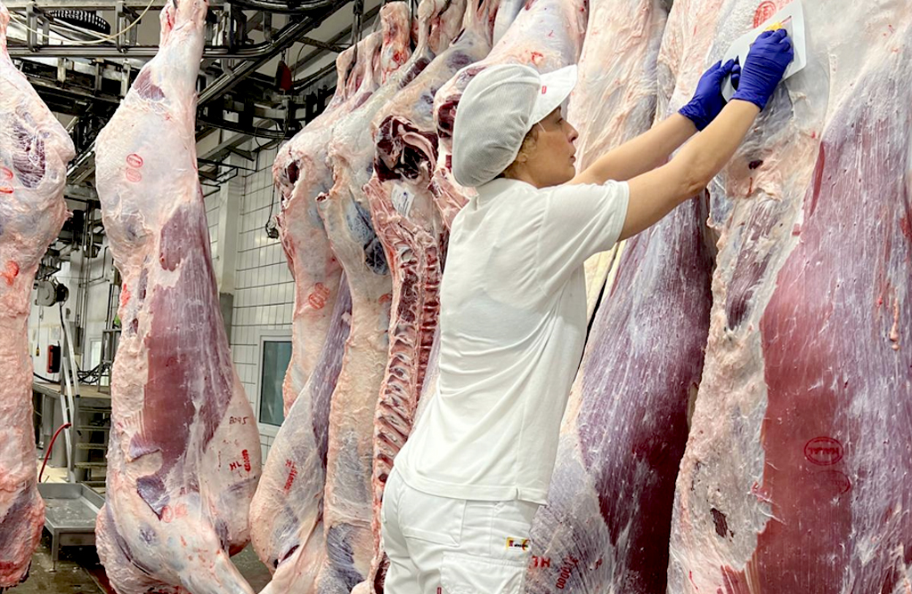 Salud lucha contra la salmonela triplicando el nmero de controles y anlisis de vigilancia