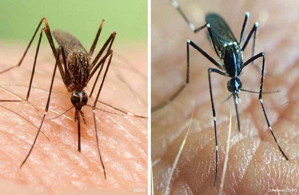 Salud Pblica rene a los municipios para establecer acciones conjuntas sobre el control de insectos transmisores de enfermedades