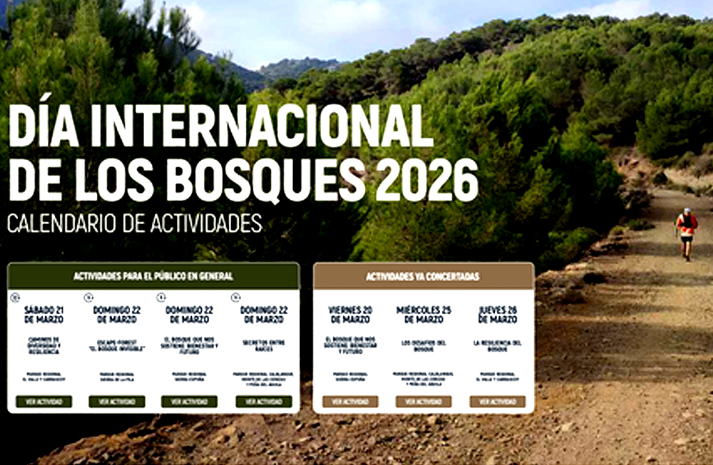 Sierra Espu�a acoger� la ruta �El bosque que nos sostiene: bienestar y futuro� el 22 de marzo